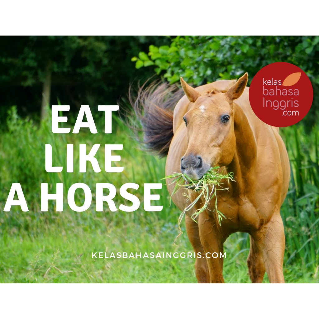 idiom-bahasa-inggris-eat-like-a-horse-kelasbahasainggris