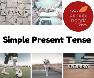 Simple Present Tense (Pengertian, Penggunaan, Rumus dan Contoh)