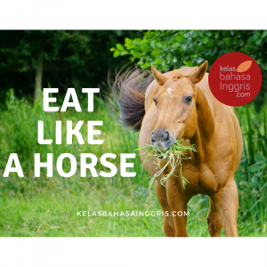 Idiom Bahasa Inggris Eat like A Horse