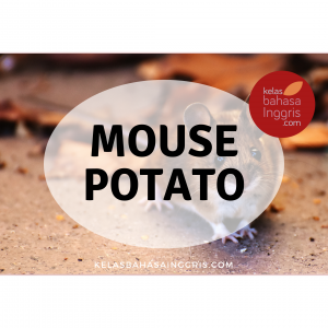 Idiom Bahasa Inggris mouse potato